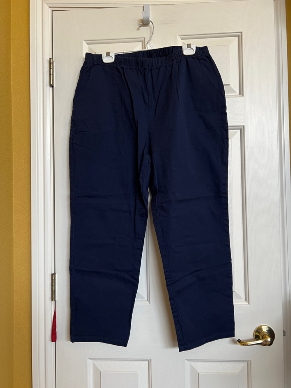 d & Co ( denim and company ) pants